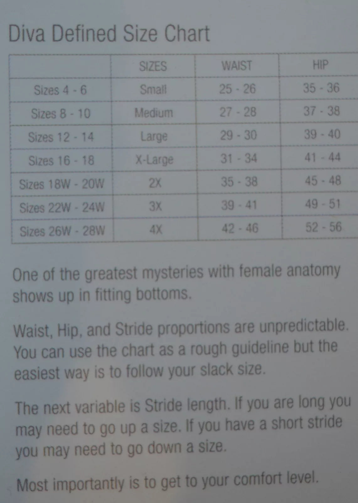 Annette Diva Defined Firm Deluxe Shaping control Short / Brief Nude Shapewear 102