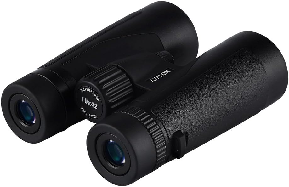 Viva Festival | Outdoor Event Binoculars | Premium Low Vision Aids