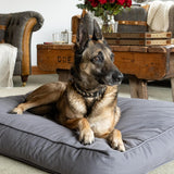 Anti Anxiety 100% Organic Cotton Dog Bed Calming Pet Bed, Small Medium or Large Mattress Pad