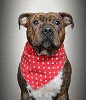 Toggles Polka Dot red Bandana / Scarf