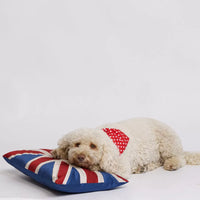 Toggles Polka Dot red Bandana / Scarf