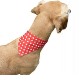 Toggles Polka Dot red Bandana / Scarf